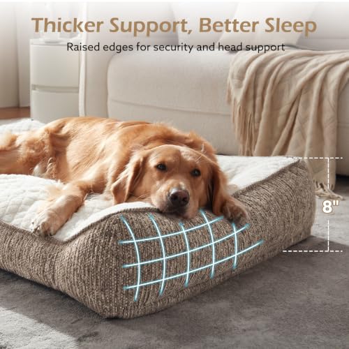 XL Orthopedic Dog Beds Large Sized Dog (L Plus(38"L x 28"W x 8"Th) / Beige)