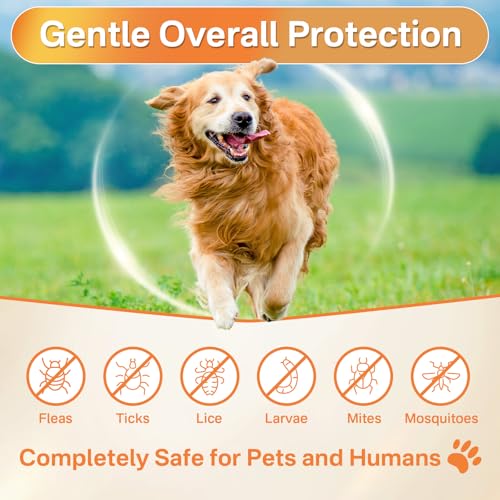 Flea and Tick Prevention for Dogs