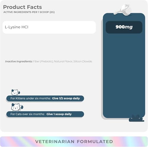 Lysine for Cats Immune Support