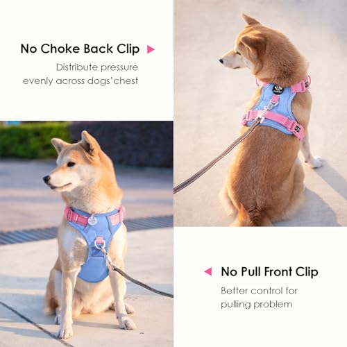 No Pull Dog Harness (Baby Blue Base & Pink Straps / Small)