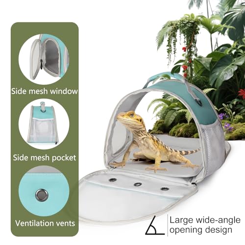 Bearded Dragon Carrier (Green)