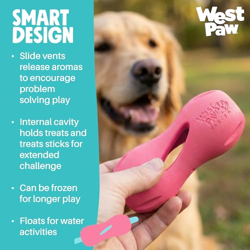 Qwizl Durable Zogoflex Dog Puzzle Toy for Mental Stimulation (Small / Geranium)