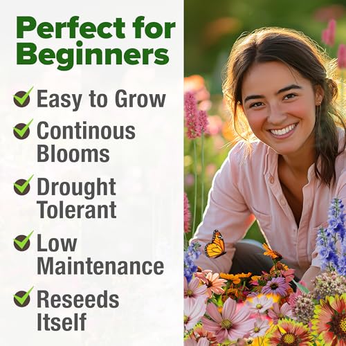 Monarch Butterfly Wildflower Mix Seeds