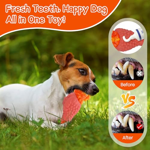 Tough Dog Toys for Aggressive Chewers (Orange / Medium)