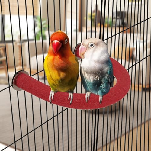 U Shaped Parrot Perch (Small / Red)