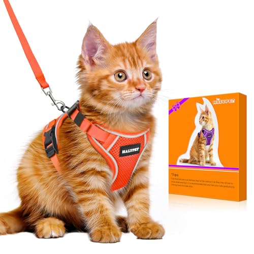 Cat Harness and Leash Set (H600 Pro Orange / X-Small (4-6lb))