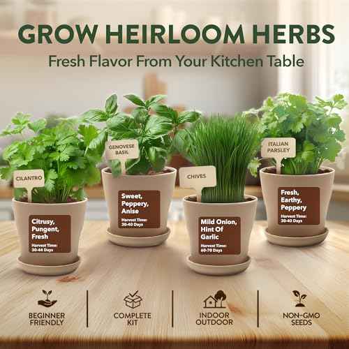 4 Herb Indoor Garden Kit