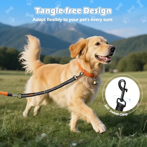 Bungee Dog Leash Extender (Black)