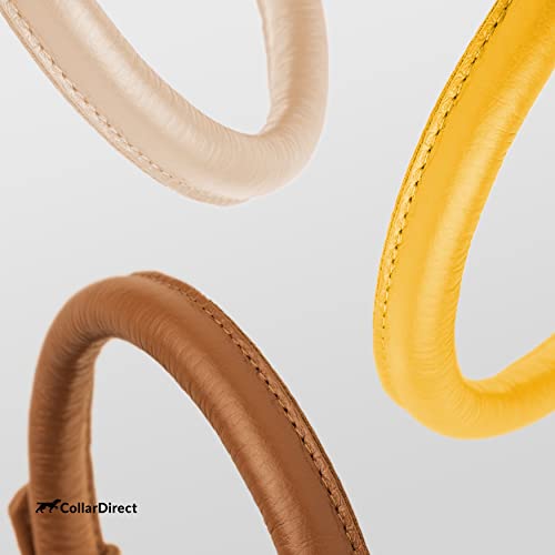 Tangle Free Rolled Leather Dog Collar (Yellow / XS)