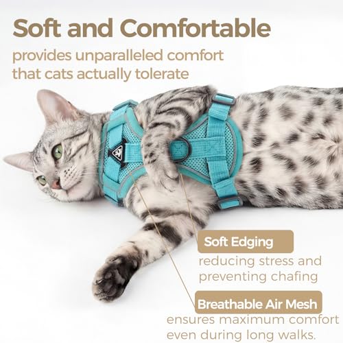 Cat Harness and Leash Set (Turquoise / Medium)