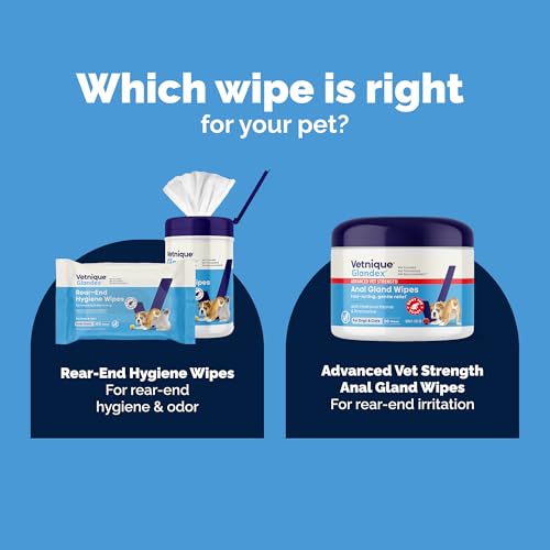 Glandex Medicated Anal Gland Anti Itch Wipes for Dogs & Cats