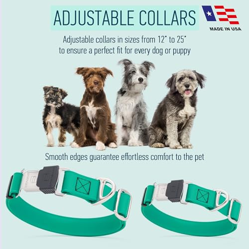 Biothane Waterproof Dog Collar with Herm Sprenger Stainless Steel Quick Release Buckle (W 3/4" x L 12"-19" / Teal)
