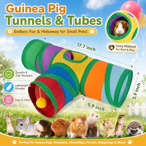 Guinea Pig Tunnel Hideout 3 (Rainbow)