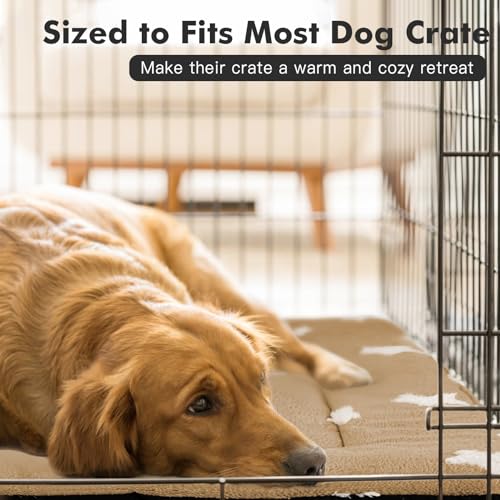 Dog Crate Pad Washable Puppy Dog Bed for Crate Flat Kennel Mat (30''L x 19''W x 1.5''Th / Brown)