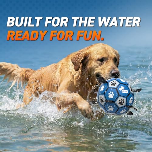 Dog Balls Toys (Blue Gray / Medium Size 2 (6 Inch))