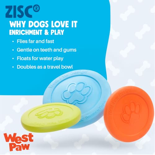 Zisc High Flying Disc Dog Toy (Small / Aqua Blue)