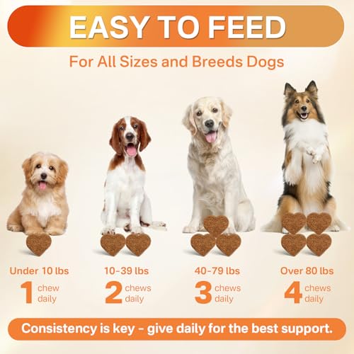 Flea and Tick Prevention for Dogs