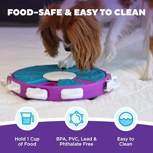 Nina Ottosson Dog Twister Dog Toy Treat Puzzle