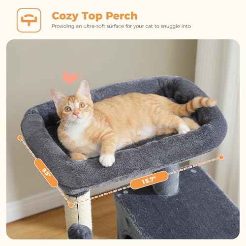 32" Small Cat Tree for Kittens & Small Cats (Dark Grey / 46 Inches)