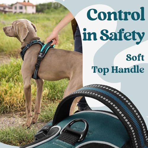 Dog Harness Medium Sized (Medium / Blue Coral)