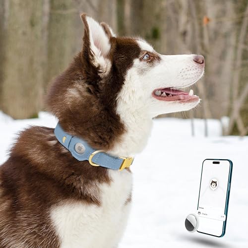Leather Airtag Dog Collar (Cornflower / XS, 9"-12" Neck Fit)