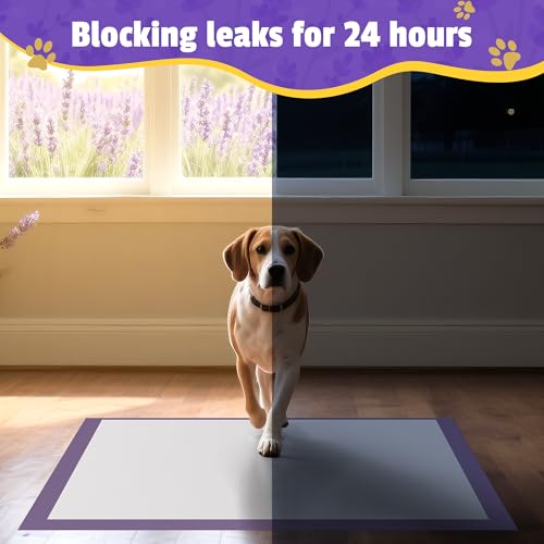 Lavender Scented Thicken 6 Layers Heavy Absorbent 30"x36" Pet Training Dog Pee Pads (Lavender Scent - 30"x36")