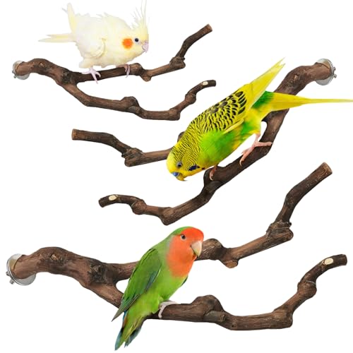 3 Sizes Natural Parrot Perch Grape Wood Bird Stand Pole Parakeet Paw Grinding Fork Chewable Climbing Branches Toy Bird Cage Accessories for Budgies Conures Cockatiels Lovebirds (5.9+7.9+9.8in)