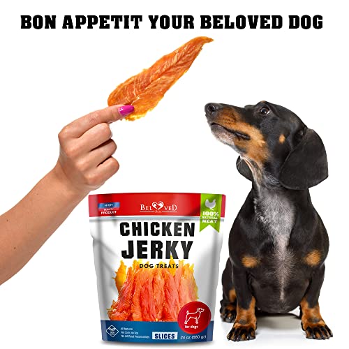 Dog Treats Chicken Jerky 1.5 lb