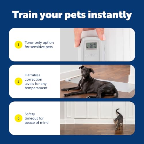 ScatMat Indoor Training Mat for Cats & Dogs (Curved (50 in X 12 in))