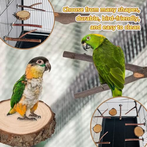 8 Piece Set Natural Wood Bird Perches