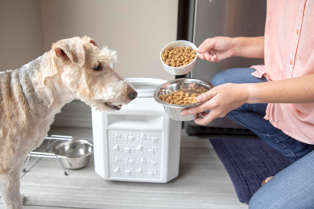 Vittles Vault Vittles Vault Pawprint Food Storage Container + Scoop (25 Pounds)