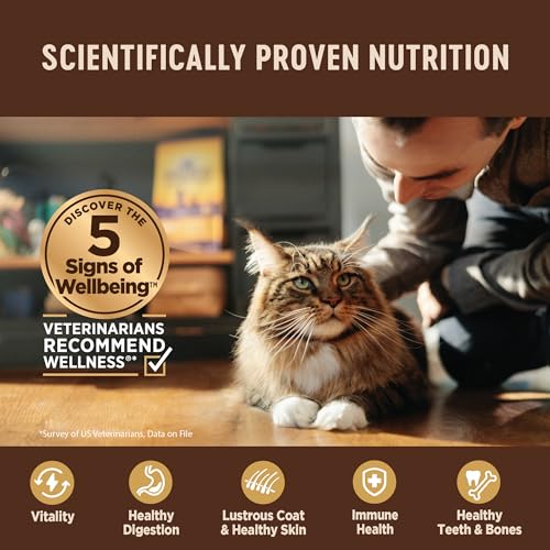CORE+ Digestive Health Pate Variety Pack Adult Canned Wet Cat Food (3 Ounce (Pack of 12))