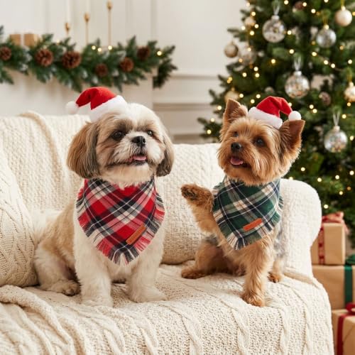 Dog Bandanas Christmas (Small / Red Green)