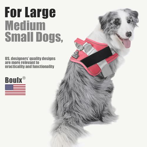 Dog Harness No (Small (Pack of 1) / Camellia)