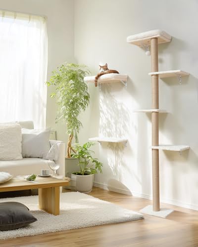 Cat Wall Shelves Set (Beige)