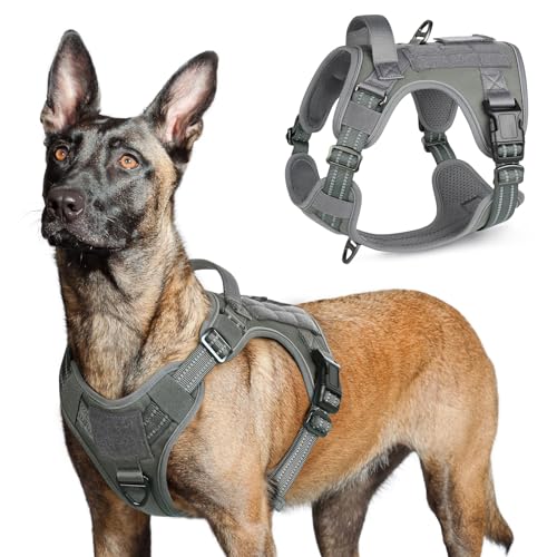 Tactical Dog Harness for Large (Grey / Large)