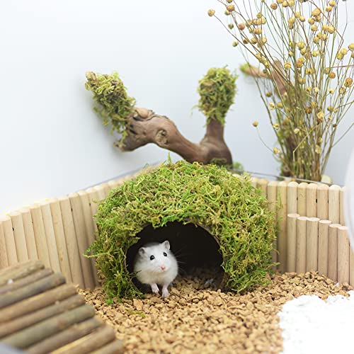Hamster Hideaway (Cave, Set)