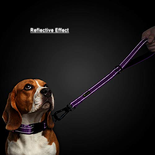 Short Training Dog Leash with Padded Handle for Medium Large Big Dogs (Purple / 18 Inch (Pack of 1))