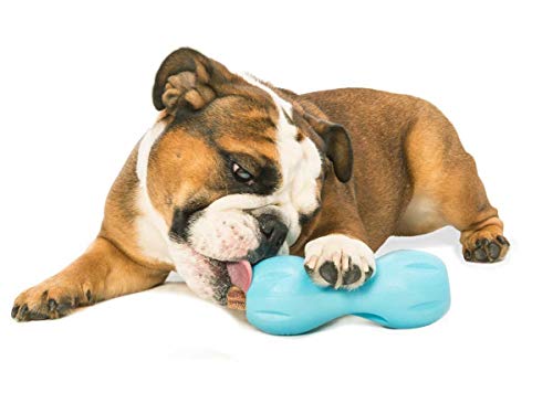 Qwizl Durable Zogoflex Dog Puzzle Toy for Mental Stimulation (Small / Aqua Blue)