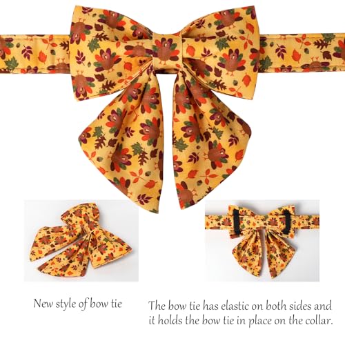 Thanksgiving Day Dog Collar with Bowtie (Large (Pack of 1) / C:4 Color Plume Turkey)