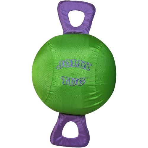 14" Jolly Tug Horse Toy (Green)