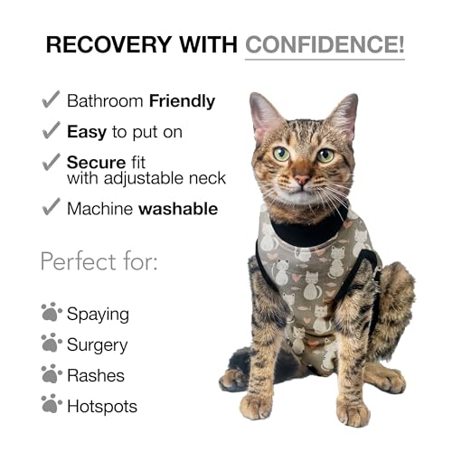 Cat Recovery Suit Female and Male (Grey / XSmall)