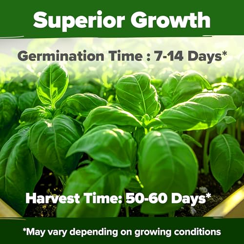Genovese Basil Seeds