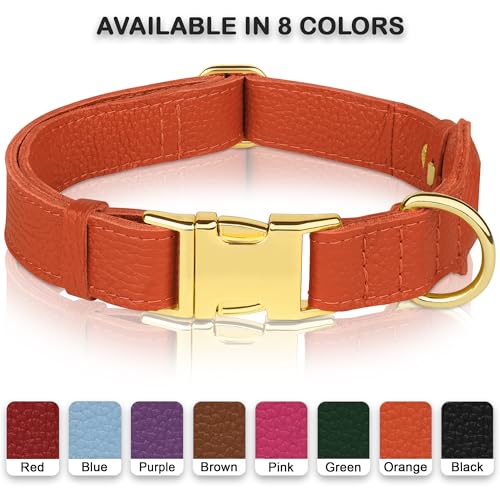 Leather Airtag Dog Collar (Orange / XL, 20"-25" Neck Fit)