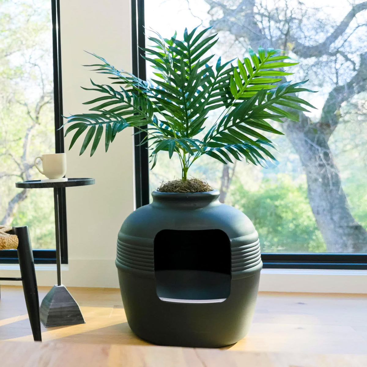 Original Hidden Litter Box Planter (Palm Plant / Essentials Kit / Charcoal Black)