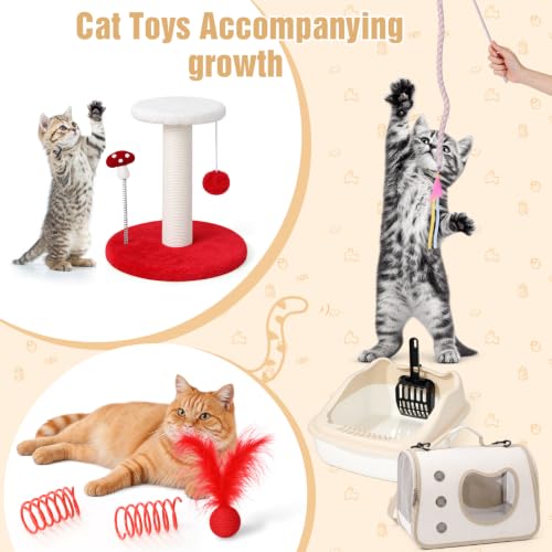 10 Pcs Kitten Starter Kit for Indoor (Classic / Small / Red)