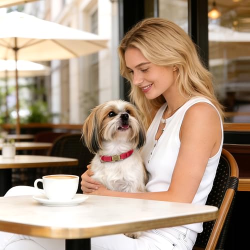 Soft PU Leather Dog Collar for Small Dogs (S：Fit 10-15" Neck, Width ⅝" / Red)