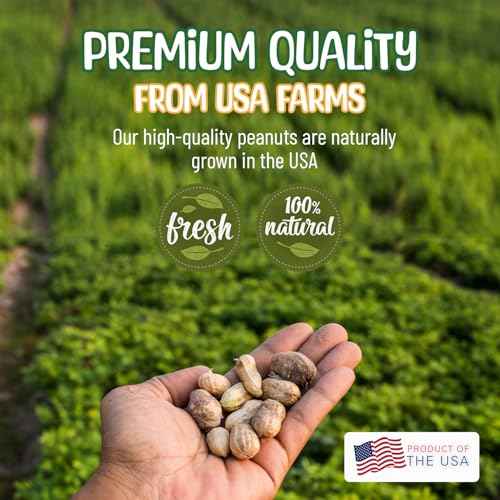 Raw Peanuts in Shell (8 Pound (Pack of 1))