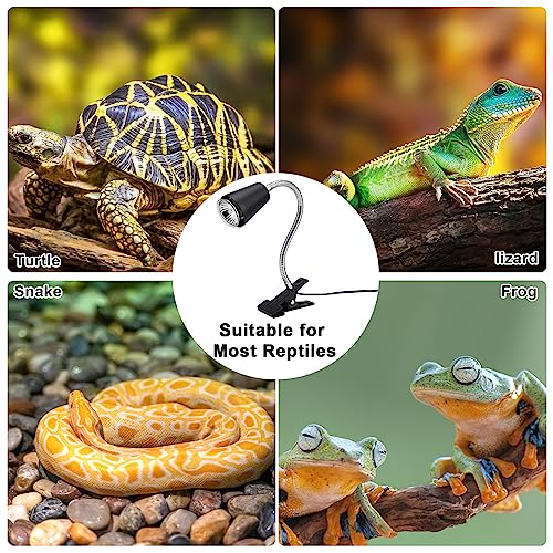 Reptile Heat Lamps (Light Stand With Timed Start and Stop and Dimmer)