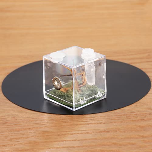 Jumping Spider Micro Habitat (2x2x2.1inches)